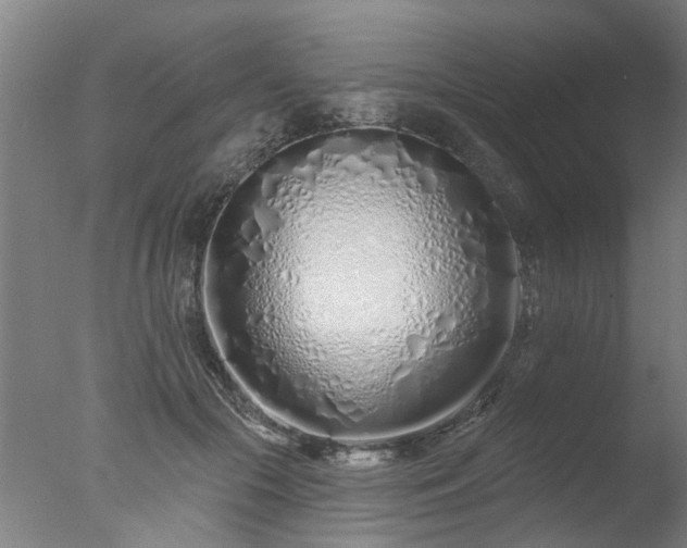 X0000077400553200610272041