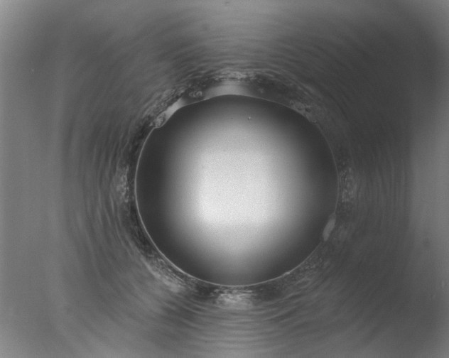 X0000077400560200610272042