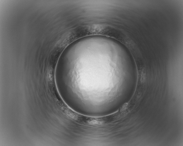 X0000077400561200610272042