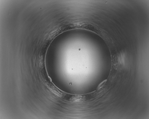 X0000077400563200610272042