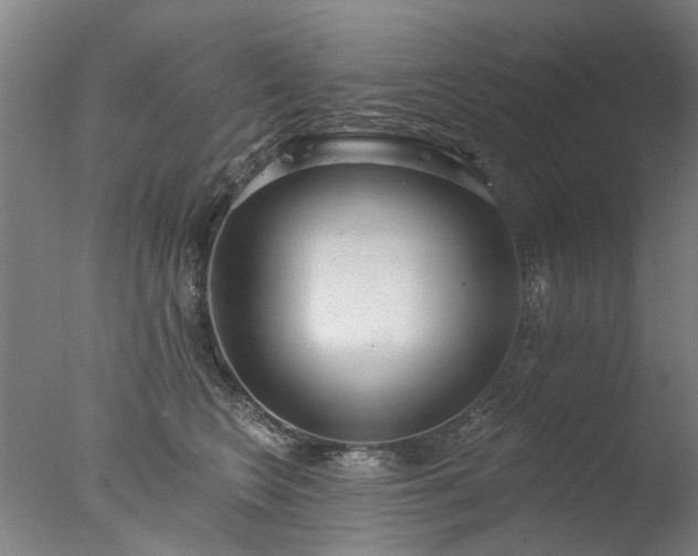 X0000077400566200610272042