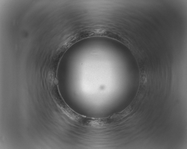 X0000077400568200610272042