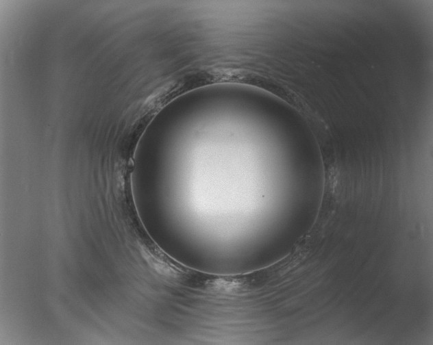 X0000077400570200610272042