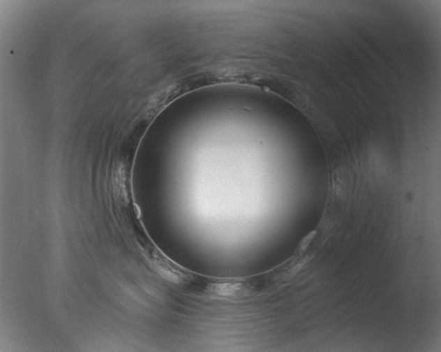 X0000077400575200610272042