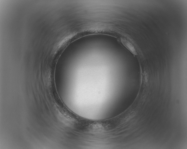X0000077400588200610272041