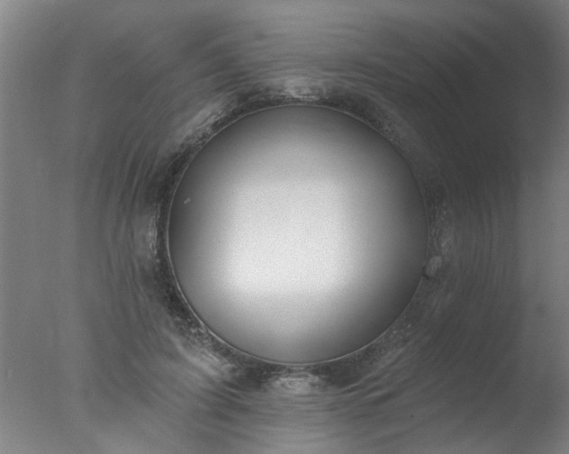 X0000077400595200610272041