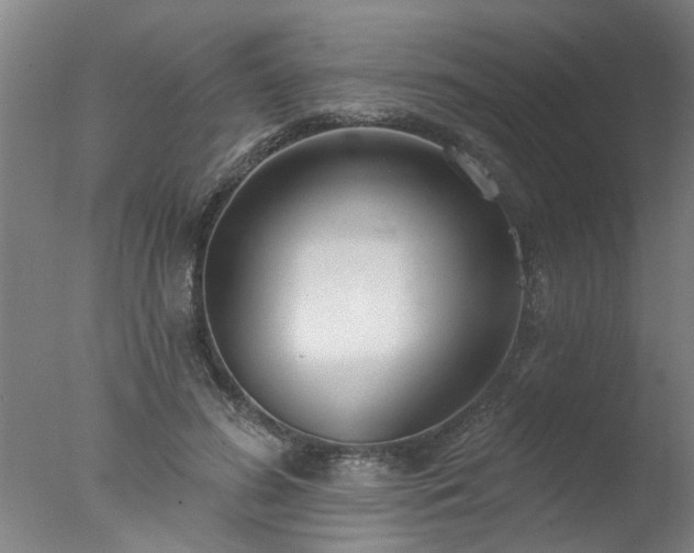 X0000077400596200610272041
