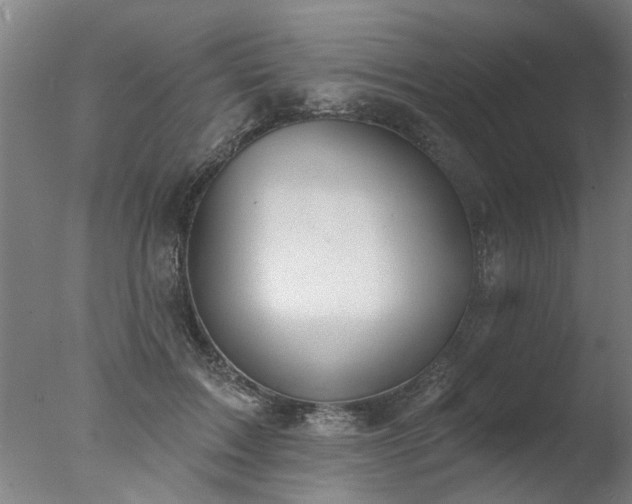 X0000077400603200610272041