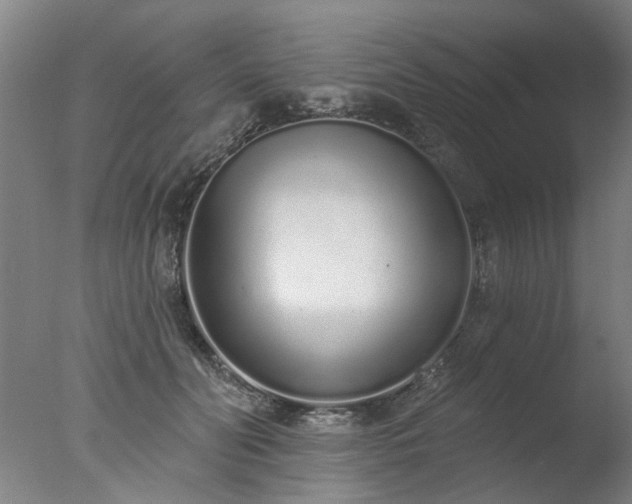 X0000077400606200610272041