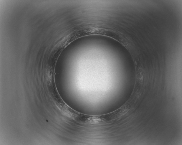X0000077400607200610272041
