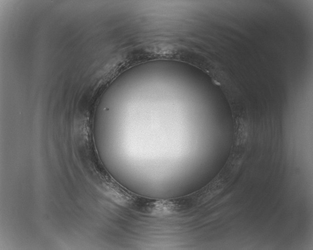 X0000077400612200610272040