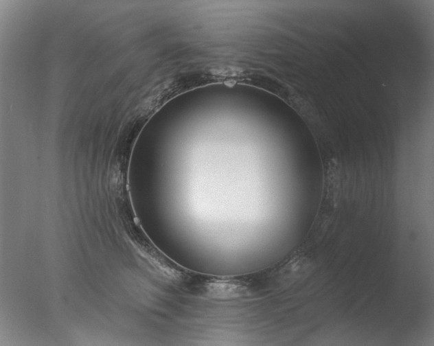 X0000077400614200610272040