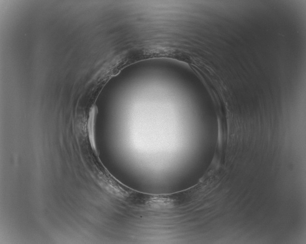 X0000077400617200610272040