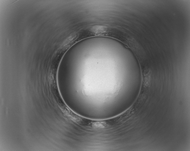 X0000077400618200610272040