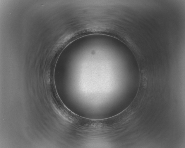 X0000077400631200610272040