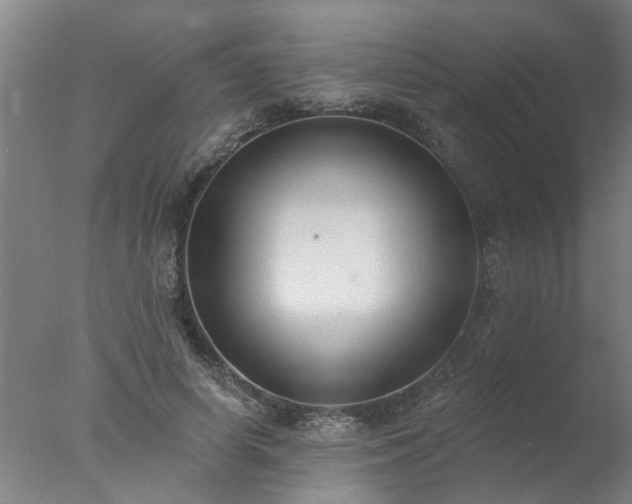 X0000077400642200610272040