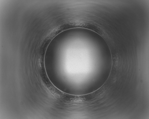 X0000077400643200610272040