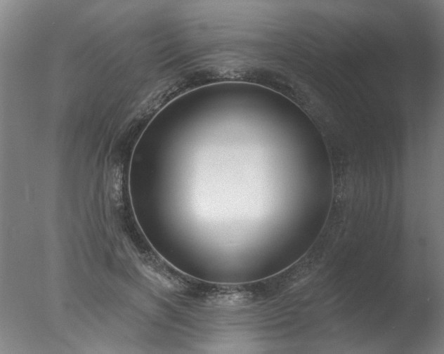 X0000077400646200610272040