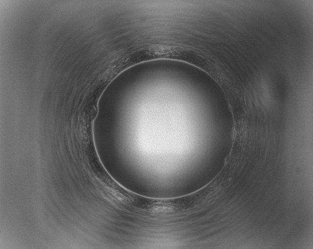 X0000077400653200610272040