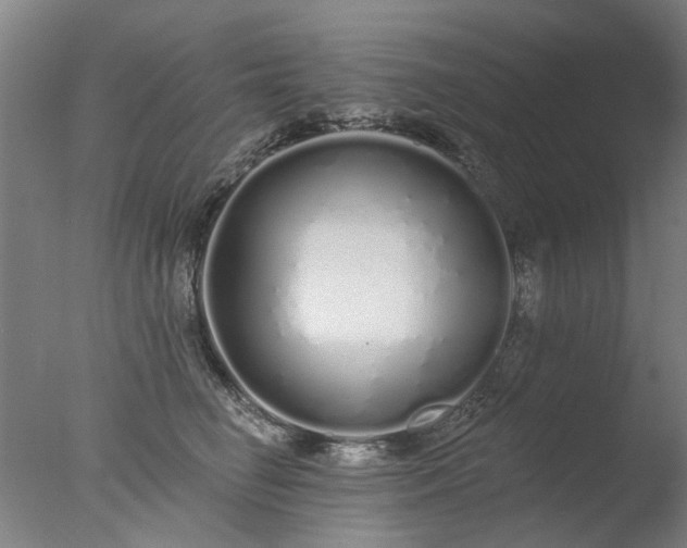 X0000077400662200610272040