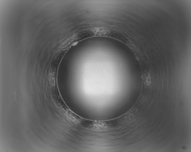 X0000077400666200610272040