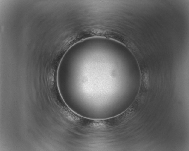 X0000077400668200610272040