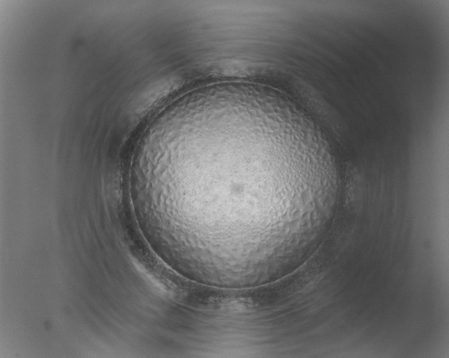 X0000077400683200610272039