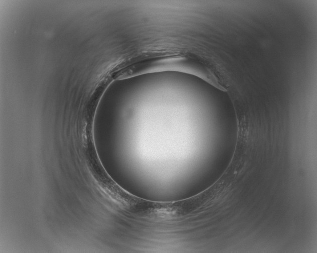 X0000077400692200610272039