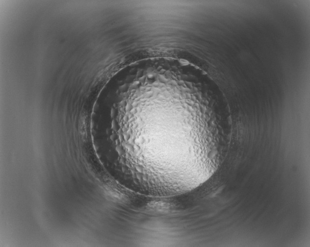 X0000077400699200610272039