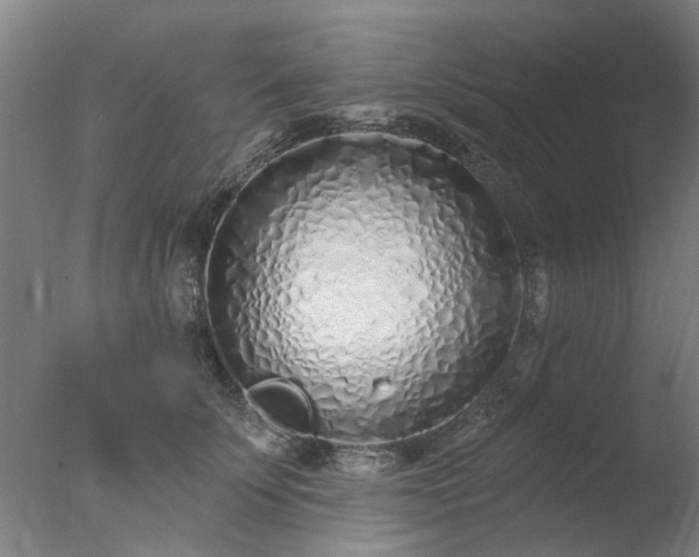 X0000077400707200610272039