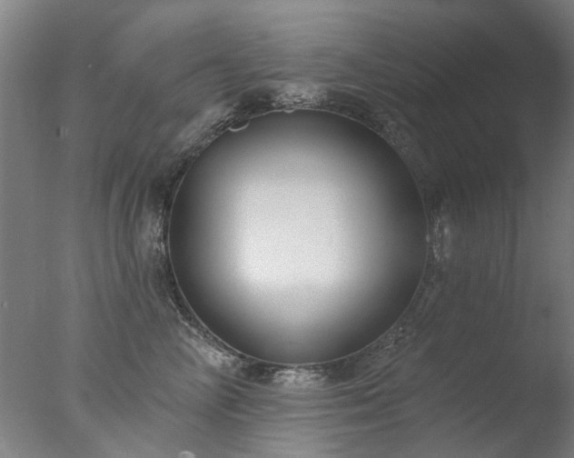X0000077400714200610272039