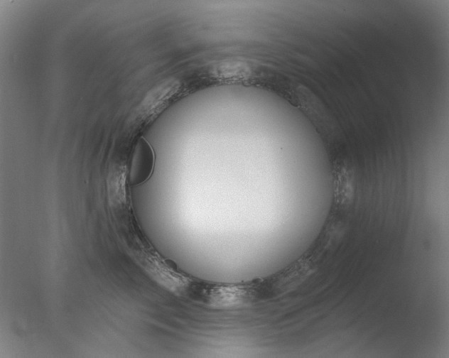 X0000077400717200610272039