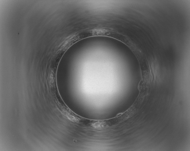 X0000077400761200610272038
