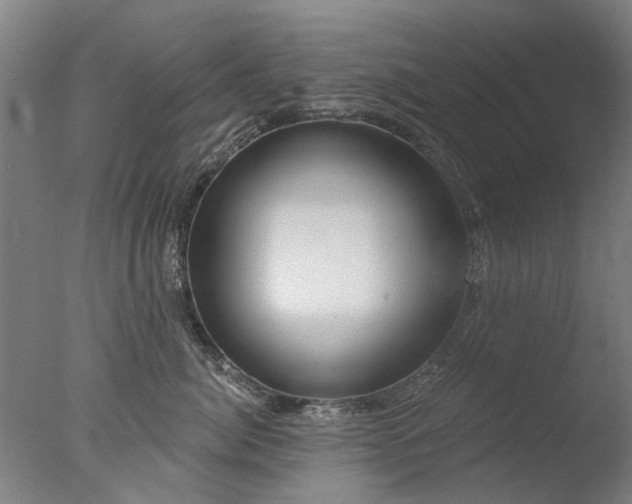 X0000077400764200610272039
