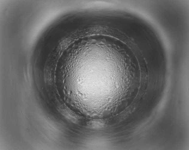 X0000077400765200610272039