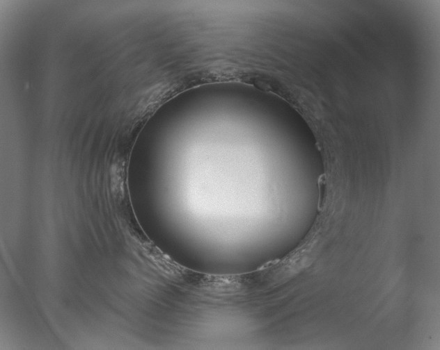 X0000077400768200610272039
