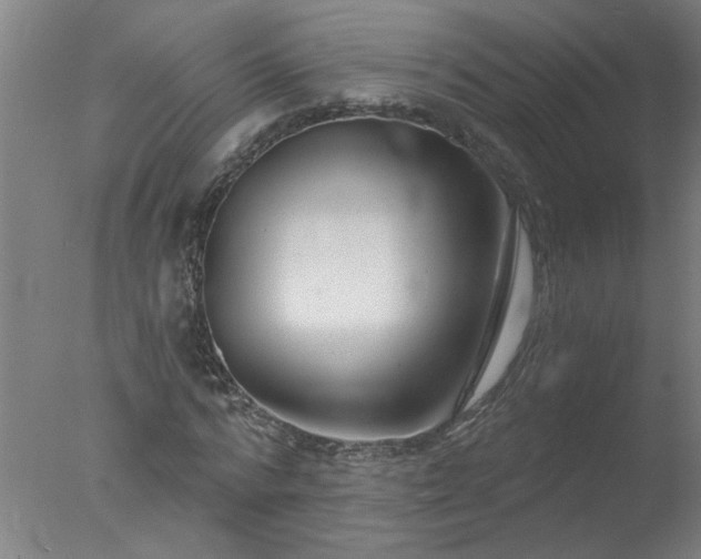 X0000077400776200610272038