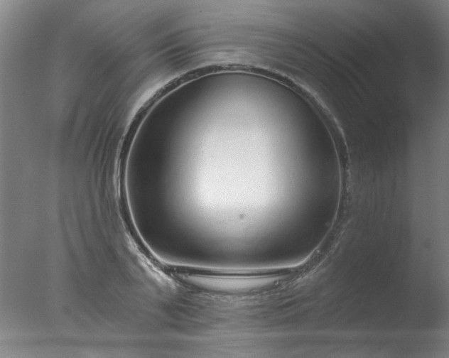X0000077400791200610272037