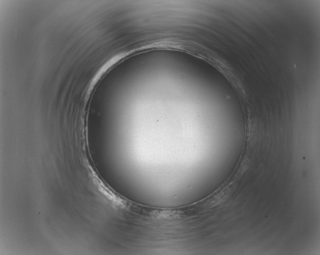 X0000077400808200610272037