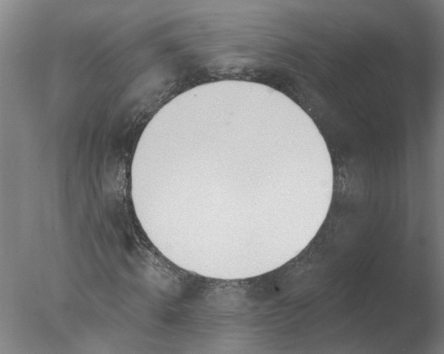 X0000077400820200610272036