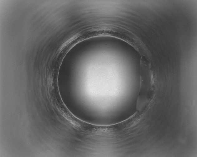 X0000077400826200610272036