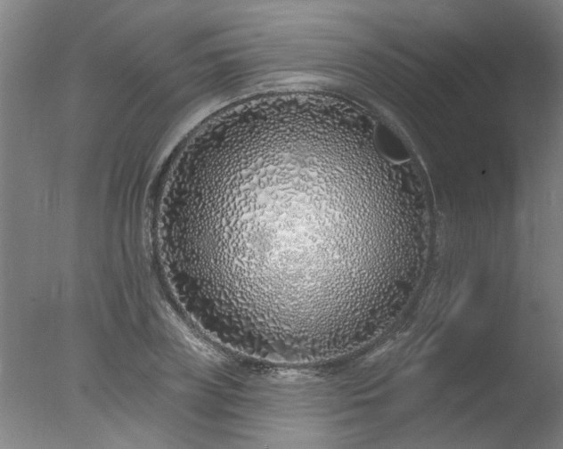 X0000077400835200610272036