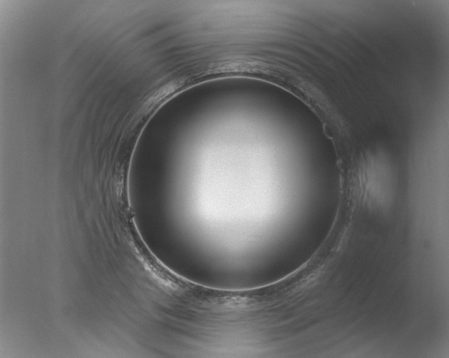 X0000077400841200610272037