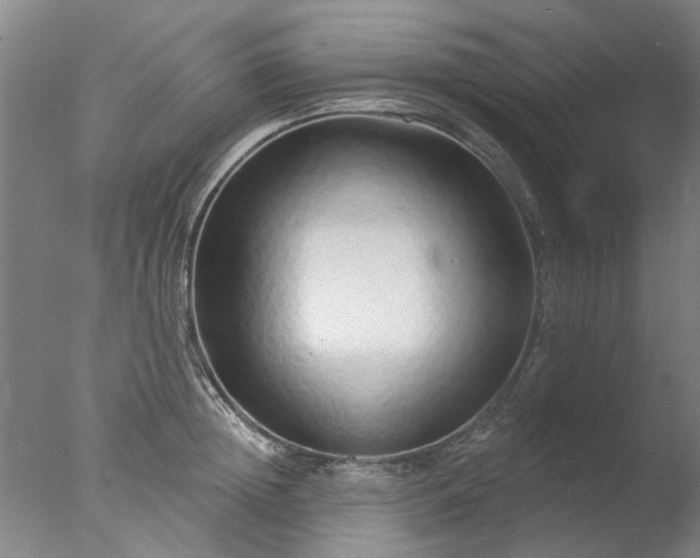X0000077400852200610272037