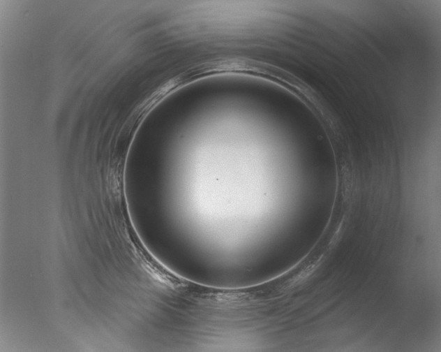 X0000077400857200610272037