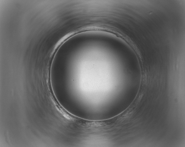 X0000077400862200610272037