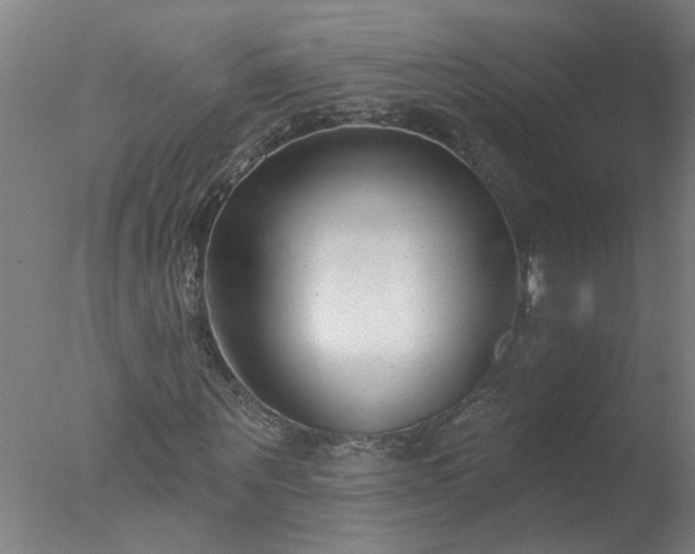 X0000077400867200610272036