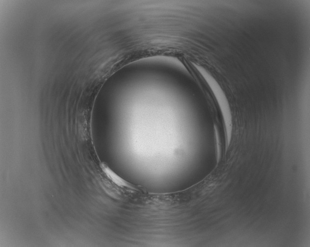 X0000077400868200610272036