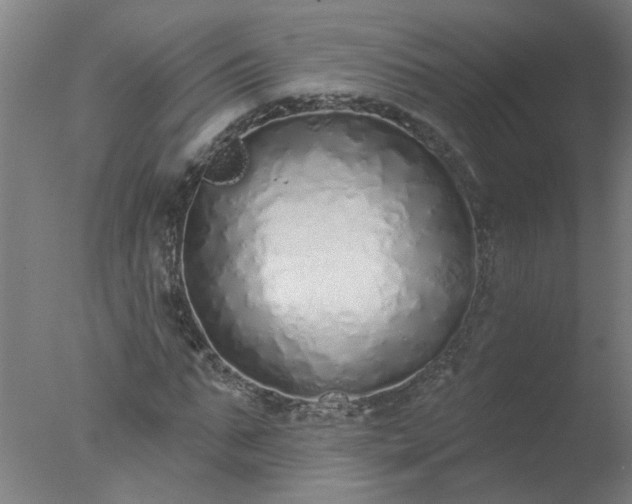 X0000077400871200610272036