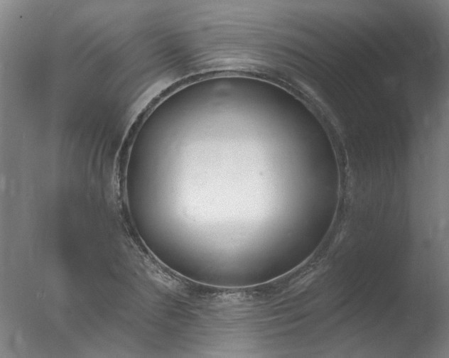 X0000077400883200610272036